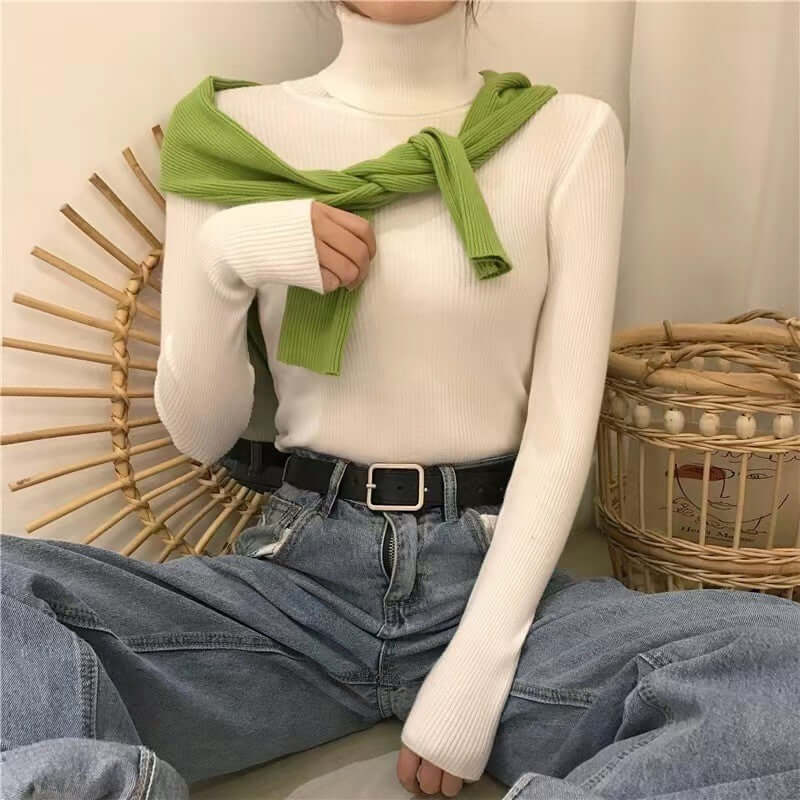 High Collar Inner Lining Bottom Sweater Slim Fit Fit Long Sleeved Sweater