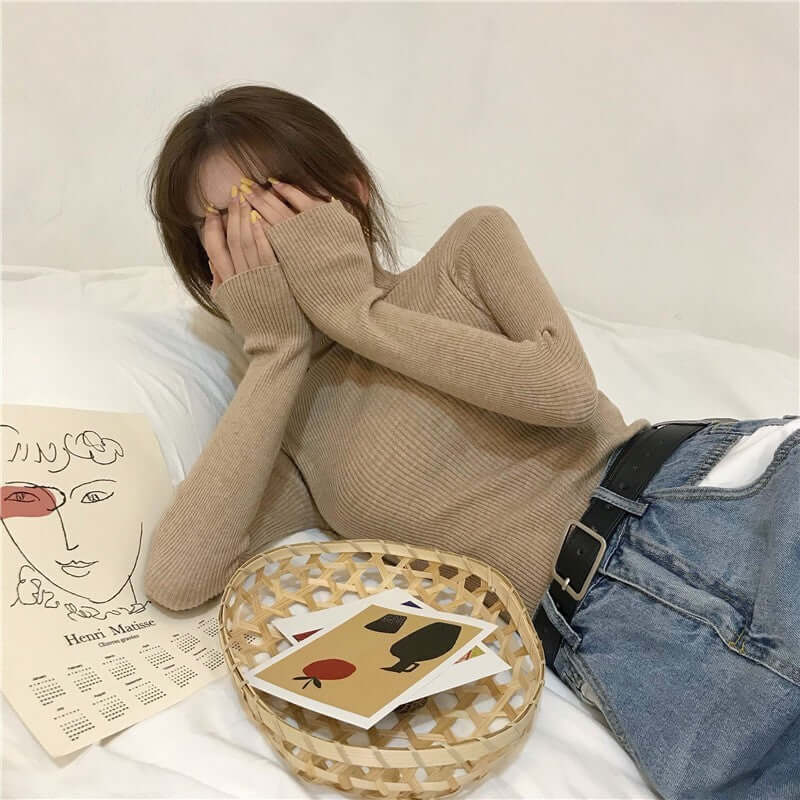 High Collar Inner Lining Bottom Sweater Slim Fit Fit Long Sleeved Sweater